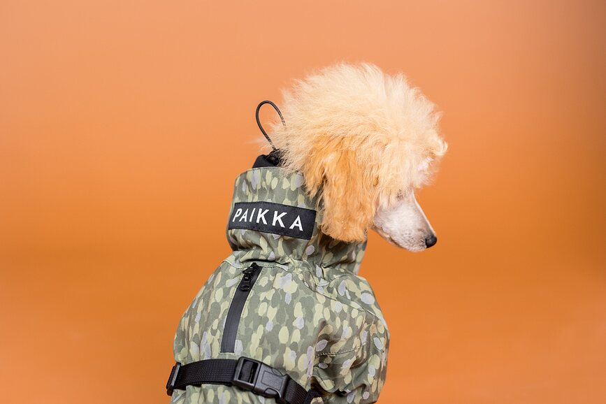 Paikka Manteau de Pluie pour Chien, 70 cm, vert