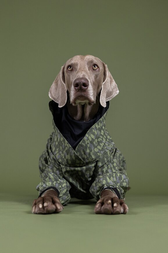 Paikka Kišna Jakna za Psa 70 cm zelena