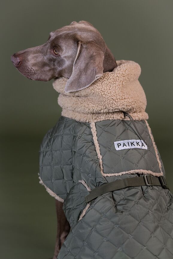 Paikka Pasja Jakna prešita s podlogo sherpa, 55 cm, olivna