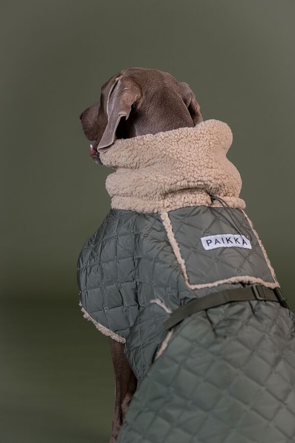 Paikka Pasja Jakna prešita s podlogo sherpa, 55 cm, olivna