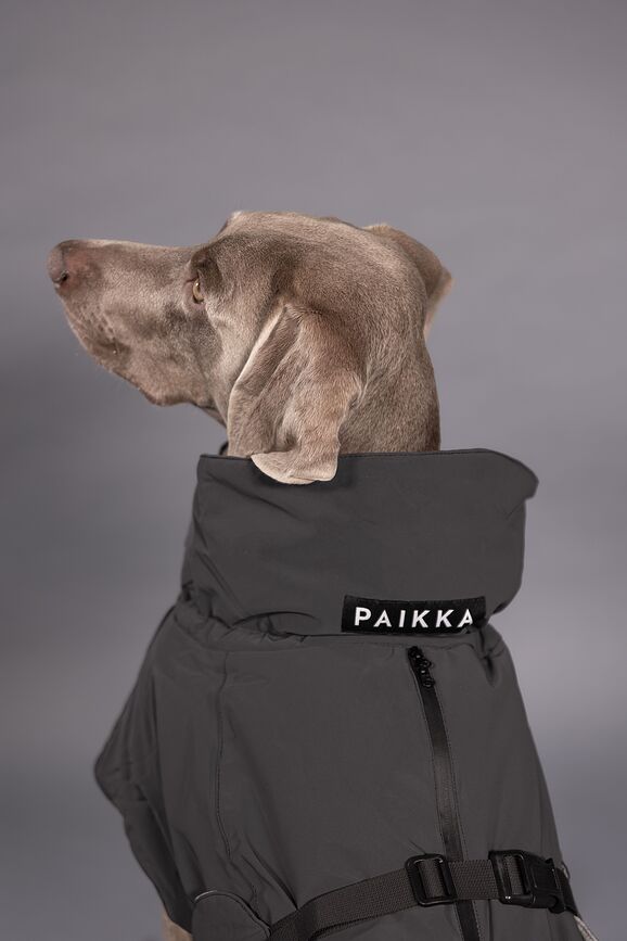 Paikka Visibility Winter Jakna za Psa 45 cm crna