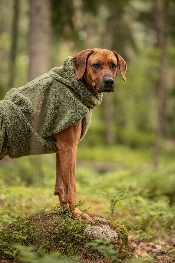 Paikka Dukserica za psa Sherpa maslinasta 30 cm