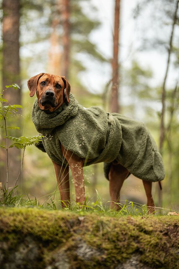 Paikka Dukserica za psa Sherpa maslinasta 30 cm