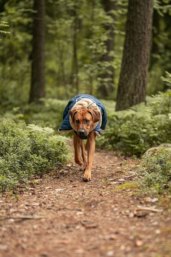 Paikka Quilted Sherpa Manteau pour Chien, 65 cm, matelassé, sherpa, bleu marine
