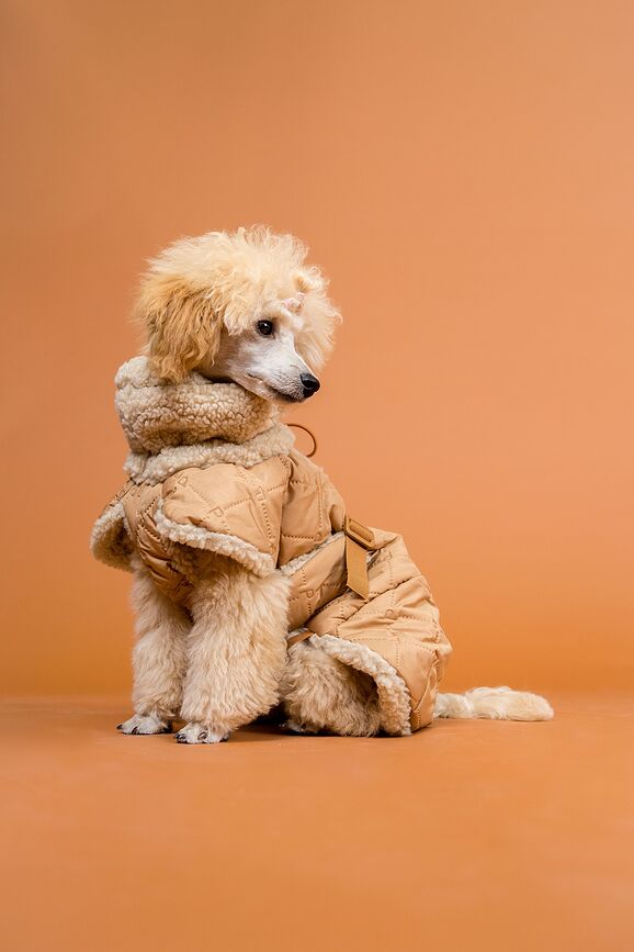 Paikka Manteau pour Chien matelassé Sherpa, 80 cm, camel