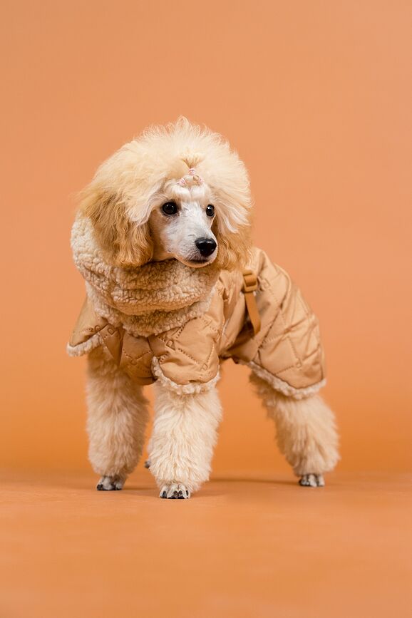 Paikka Manteau pour Chien matelassé Sherpa, 80 cm, camel