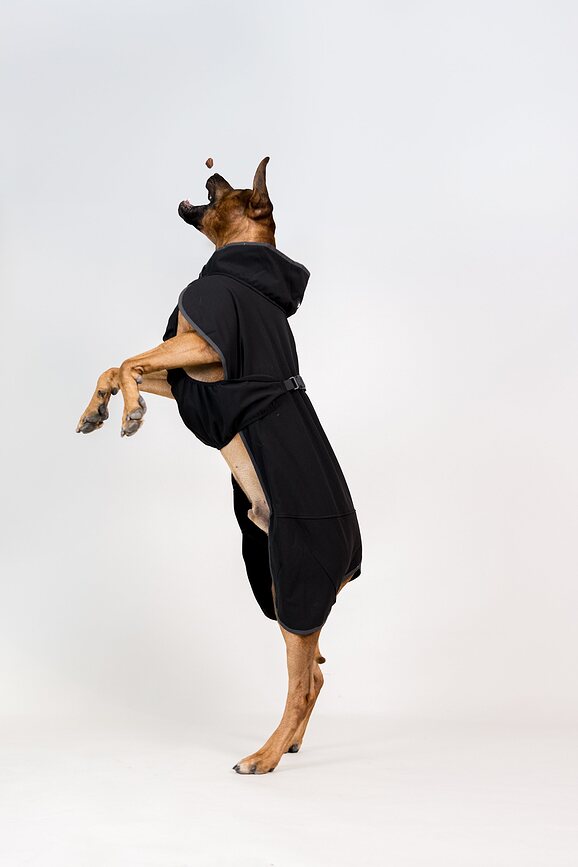 Paikka Manteau Softshell Recovery pour chien, 70 cm, noir