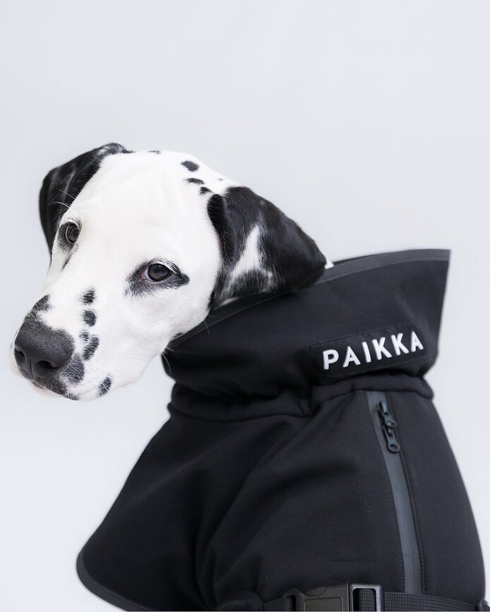 Paikka Manteau Softshell Recovery pour chien, 70 cm, noir