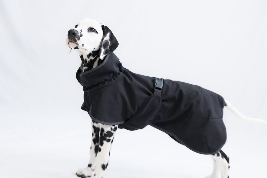 Paikka Manteau Softshell Recovery pour chien, 70 cm, noir