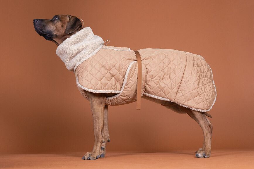 Paikka Quilted Sherpa Pasja Jakna, 80 cm, kamel