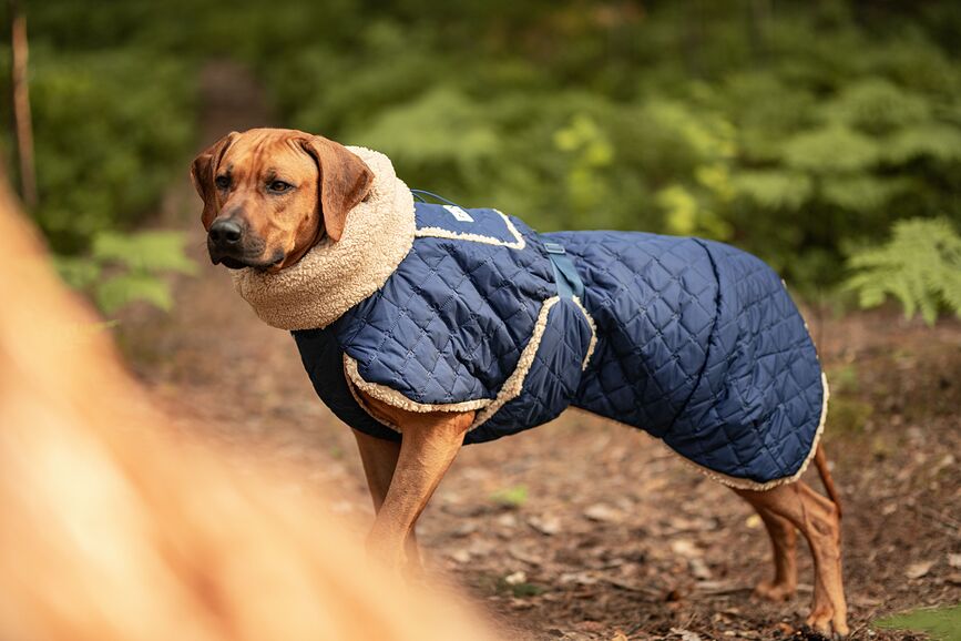 Paikka Quilted Sherpa Jakna za psa, 45 cm, mornarsko modra