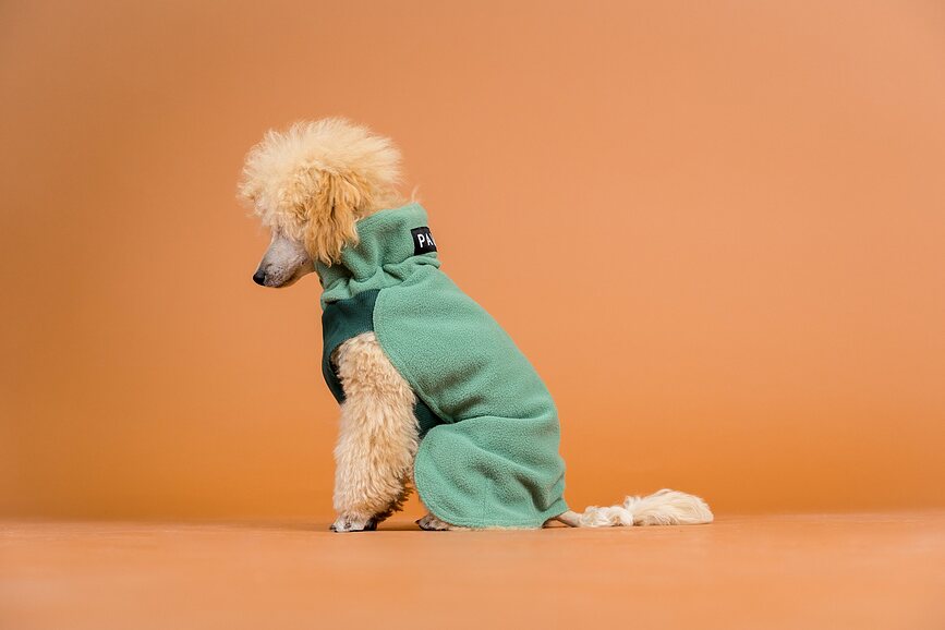 Paikka Sweat-shirt pour Chien, Seawool, 45 cm, vert
