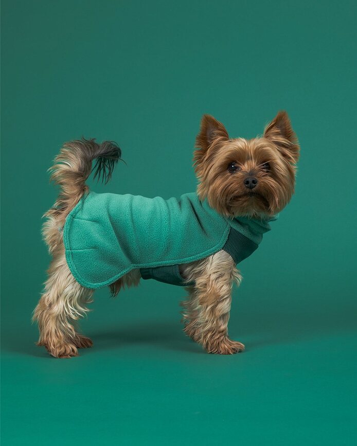 Paikka Sweat-shirt pour Chien, Seawool, 45 cm, vert