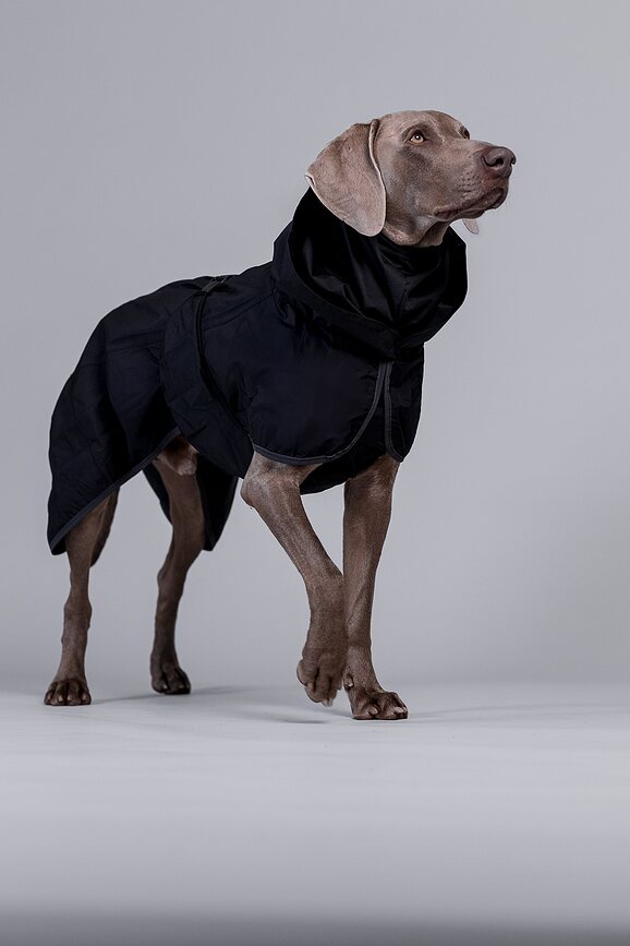 Paikka Recovery Lite Imperméable pour Chien 60 cm, noir