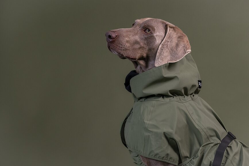 Paikka Reflective Manteau de Pluie pour Chien, 45 cm, vert