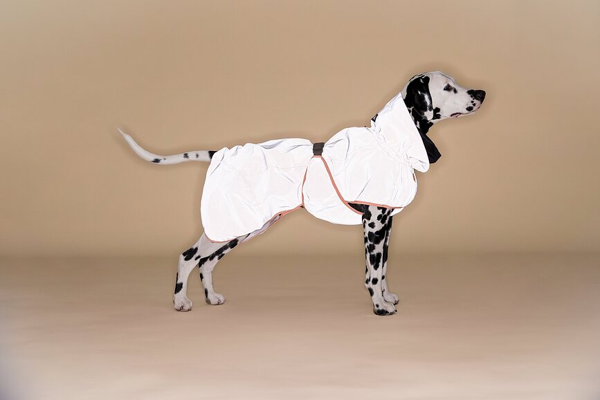 Paikka Reflective Manteau de Pluie pour Chien, 60 cm, pêche