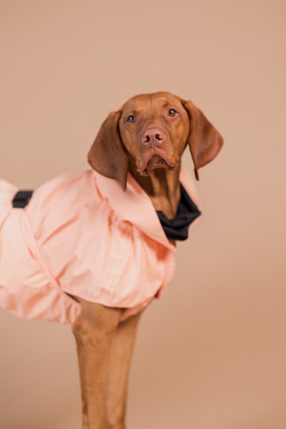 Paikka Reflective Manteau de Pluie pour Chien, 60 cm, pêche