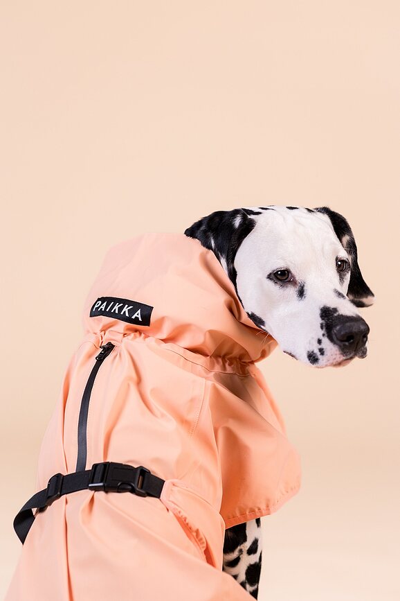 Paikka Reflective Manteau de Pluie pour Chien, 60 cm, pêche