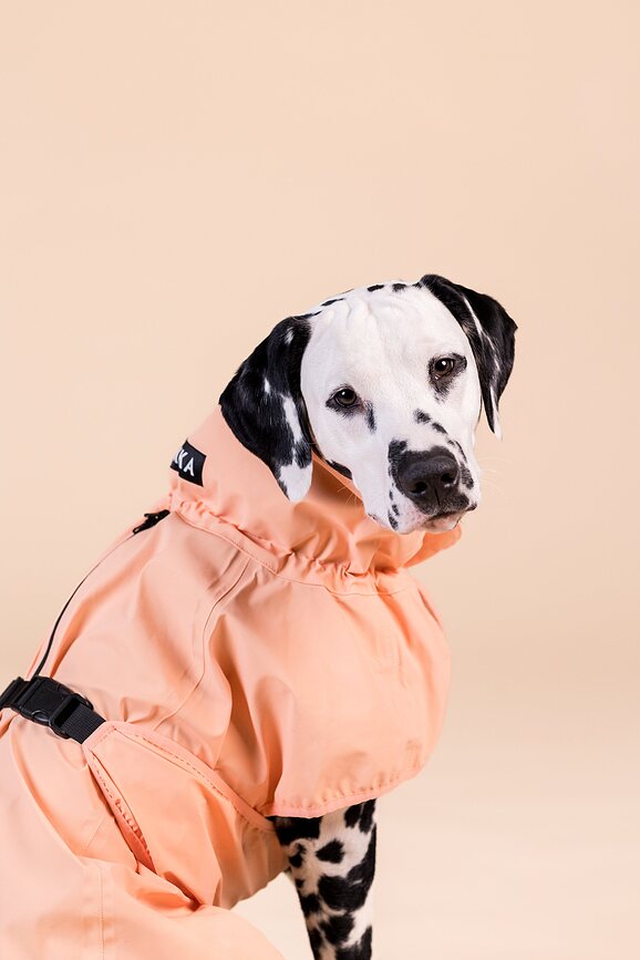 Paikka Reflective Manteau de Pluie pour Chien, 60 cm, pêche