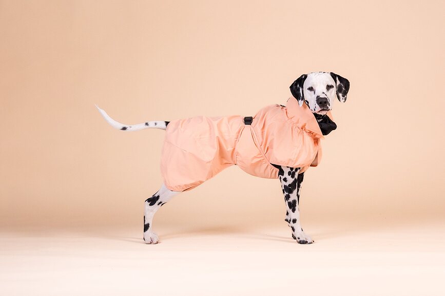Paikka Reflective Manteau de Pluie pour Chien, 60 cm, pêche