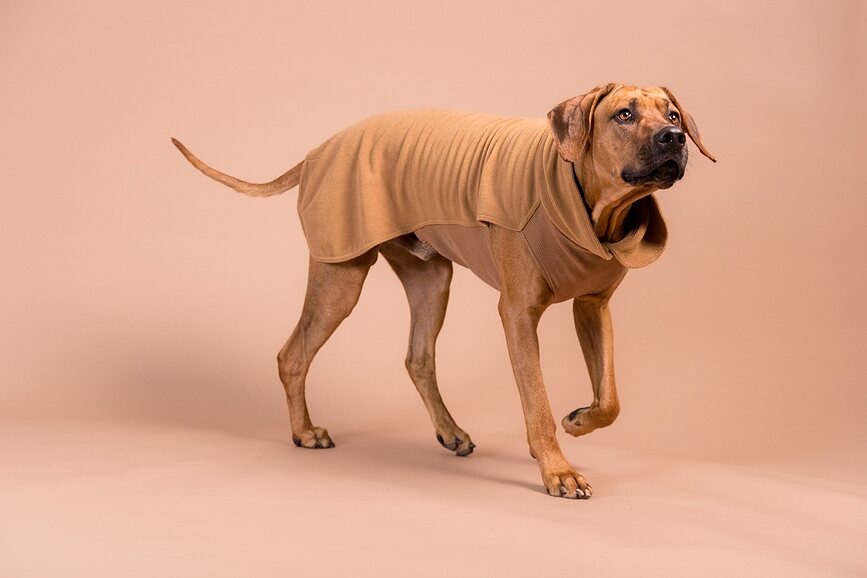 Paikka Seawool Pull pour Chien, 50 cm, marron