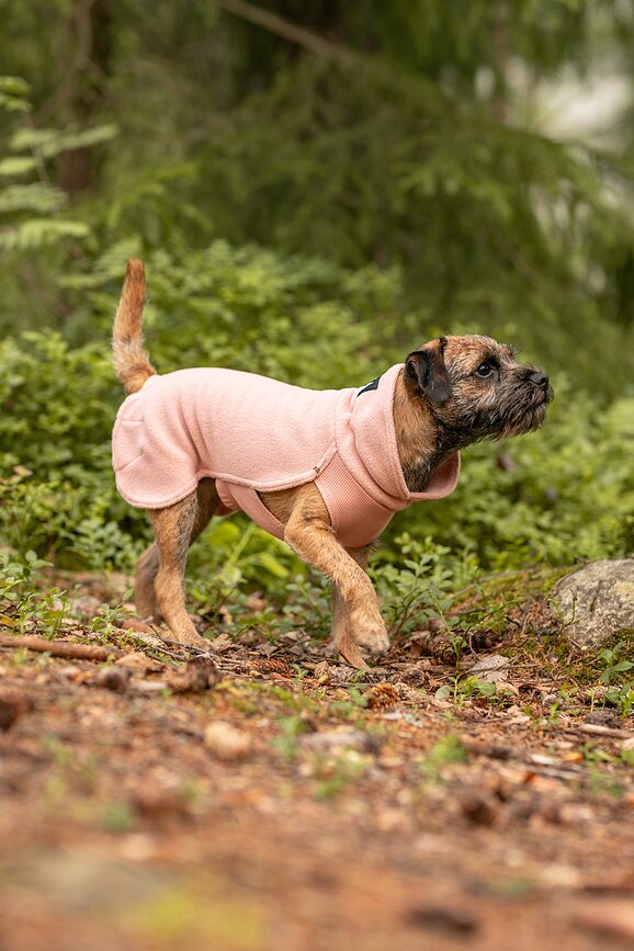 Paikka Sweat-shirt pour Chien Seawool, 60 cm, rose