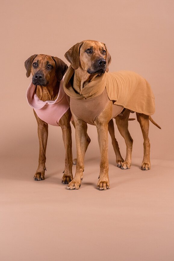 Paikka Sweat-shirt pour Chien Seawool, 60 cm, rose