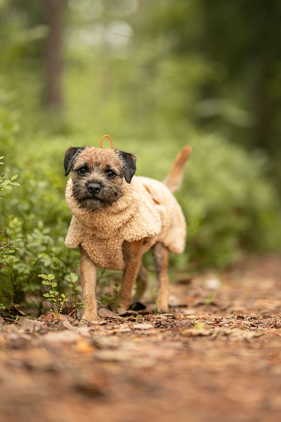 Paikka Sweat-shirt pour Chien Sherpa, 35 cm, taupe