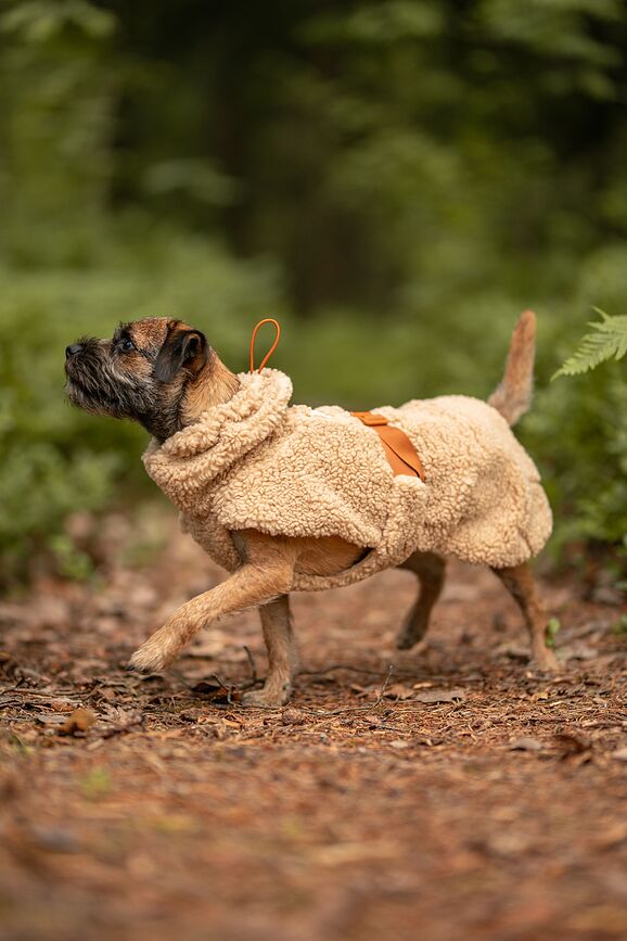 Paikka Sweat-shirt pour Chien Sherpa, 35 cm, taupe