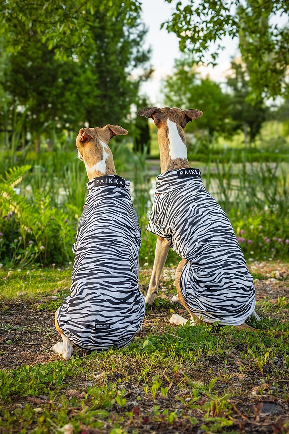 Paikka UV & Bug hundetrøje 35 cm, zebra