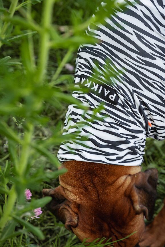 Paikka UV & Bug Hundtröja 35 cm, zebra