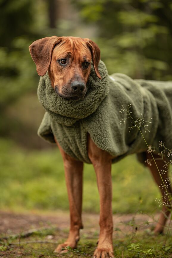 Paikka Sherpa Veste pour Chien, 30 cm, olive
