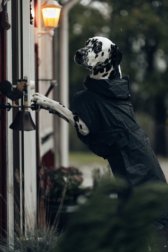 Paikka Visibility Αδιάβροχο για Σκύλο, 45 εκ., μαύρο