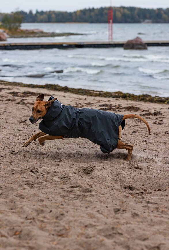 Paikka Visibility Imperméable pour Chien, 45 cm, noir