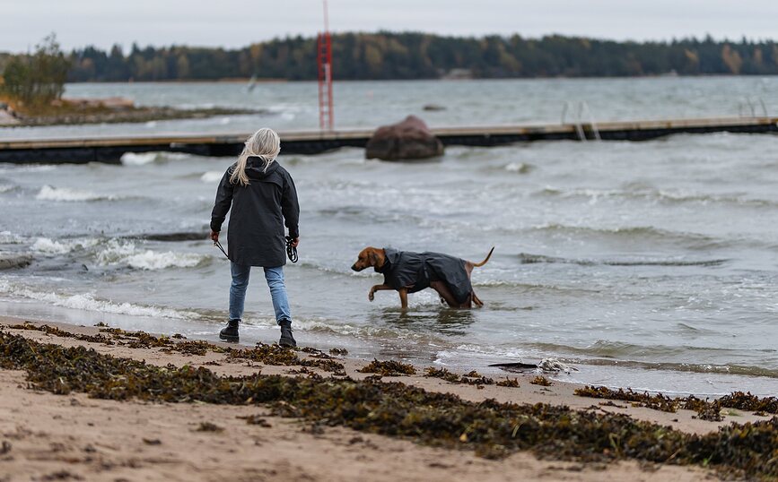 Paikka Visibility Kabanica za psa 45 cm crna