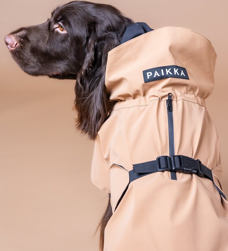 Paikka Visibility Lite Αδιάβροχο Σκύλου, 50 cm, taupe