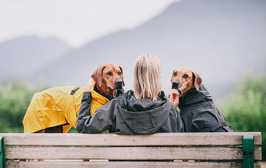 Paikka Visibility Lite Dežni plašč za pse, 55 cm, rumen