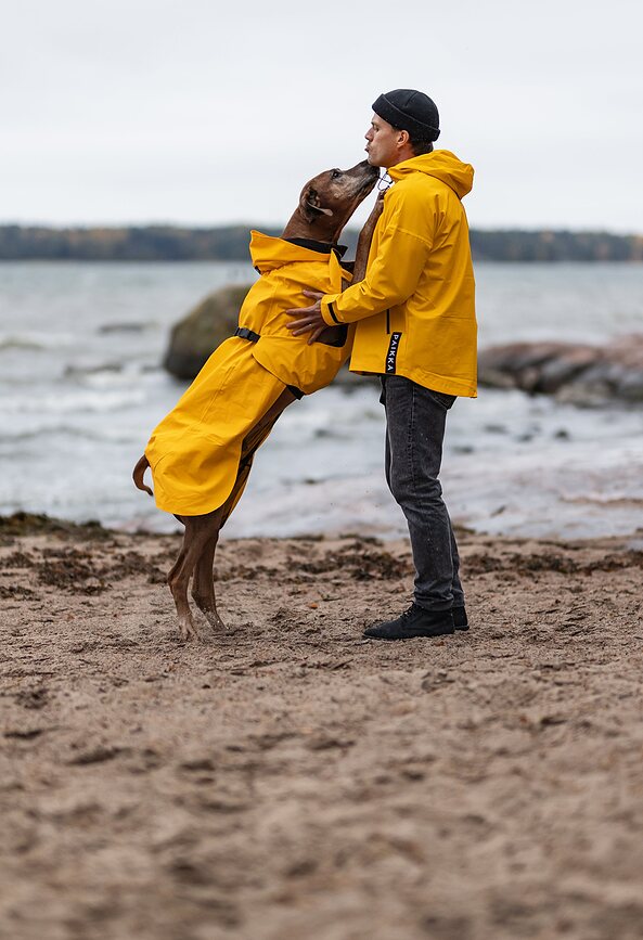 Paikka Visibility Lite Manteau de Pluie pour Chien 55 cm, jaune