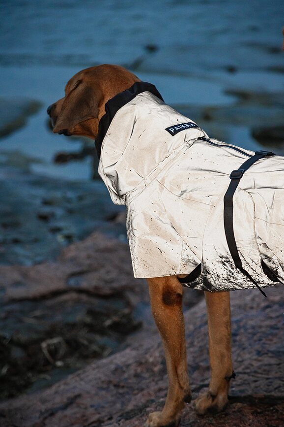 Paikka Visibility Lite Manteau de Pluie pour Chien 55 cm, jaune