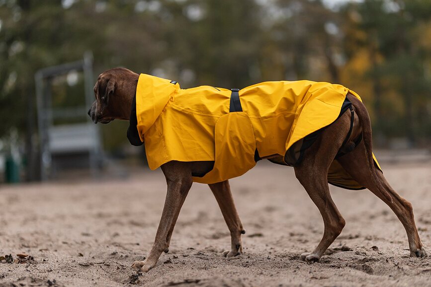 Paikka Visibility Lite Manteau de Pluie pour Chien 55 cm, jaune