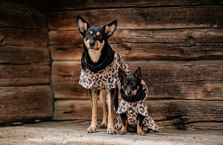 Paikka Visibility Lite Kabanica za psa 40 cm smeđa pantera uzorak