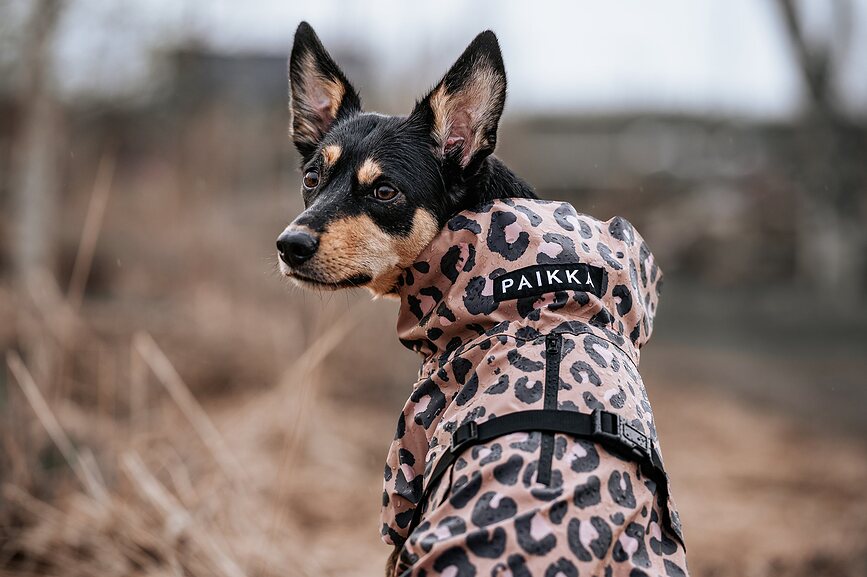 Paikka Visibility Lite Manteau de Pluie pour Chien, 40 cm, imprimé léopard marron