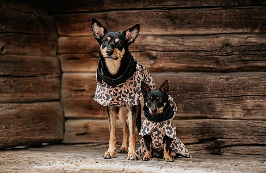 Paikka Visibility Lite Manteau de Pluie pour Chien, 40 cm, imprimé léopard marron