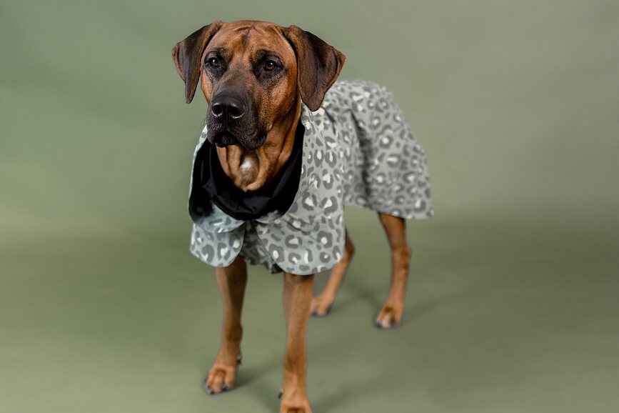 Paikka Visibility Lite Manteau de Pluie pour Chien, 30 cm, motif léopard vert