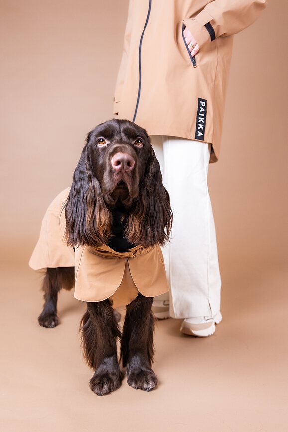 Paikka Visibility Lite Manteau de Pluie pour Chien, 50 cm, taupe