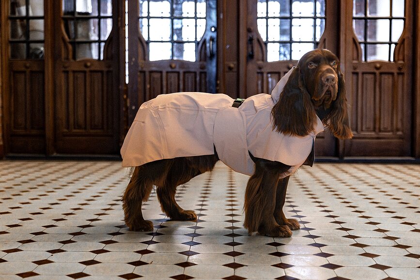 Paikka Visibility Lite Manteau de Pluie pour Chien, 50 cm, taupe