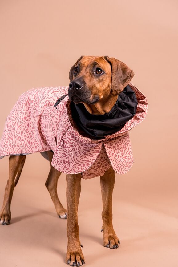 Paikka Visibility Winter Jakna za psa 45 cm ružičasta