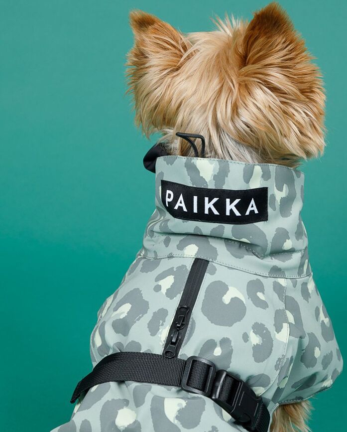 Paikka Visibility Winter Manteau pour Chien, 30 cm, motif léopard vert