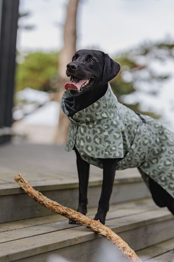 Paikka Visibility Winter Manteau pour Chien, 30 cm, motif léopard vert