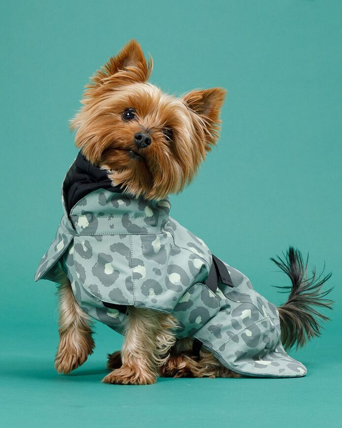 Paikka Visibility Winter Manteau pour Chien, 30 cm, motif léopard vert